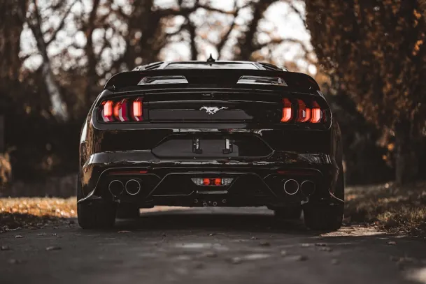 פולקריקט קזינו אפליקציית Android/iOS